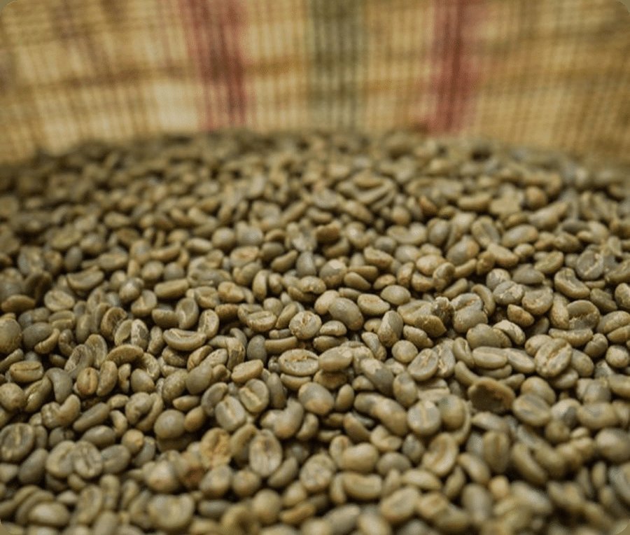 Café verde en saco de fique para volumen comercial