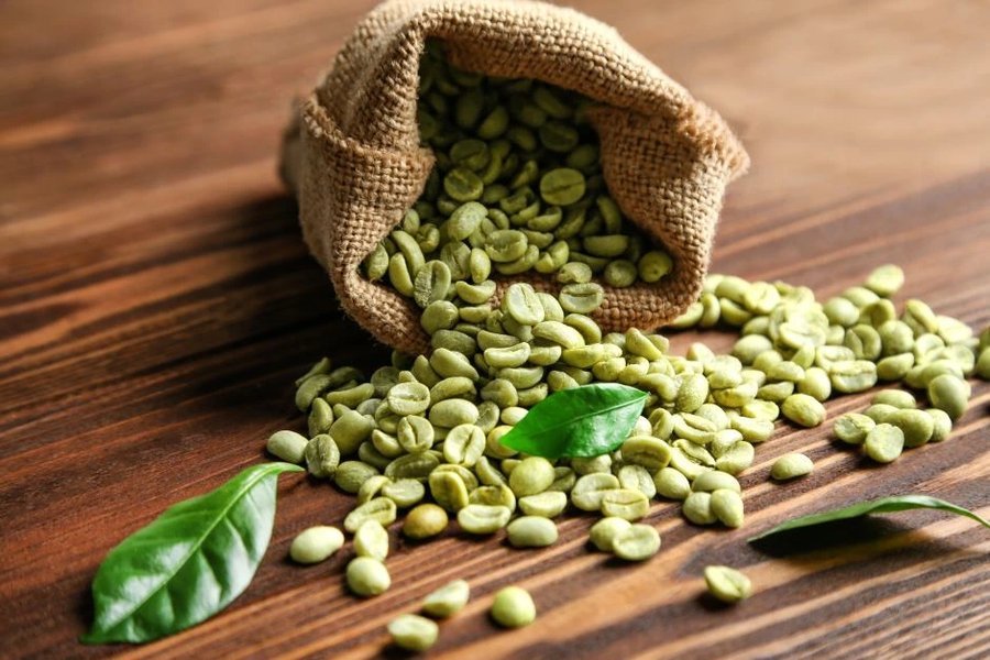 Granos de café verde specialty recién cosechados