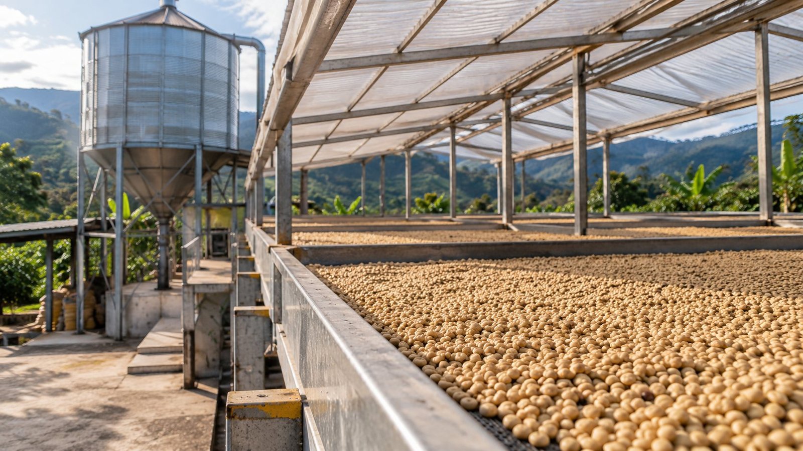 Secado de café en marquesina y silo en las montañas del Huila